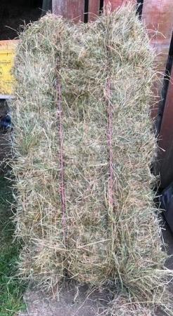 Image 2 of Quality Meadow Hay, £4.00/bale