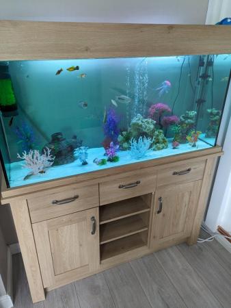 Image 5 of 5ft x 2ft Aquarium with Cabinet