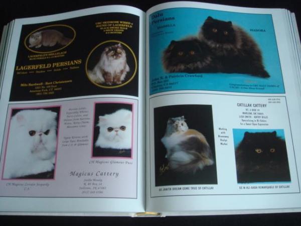 Image 4 of CFA (USA) Year Book Pedigree Show Cats GCCF Persian Siamese