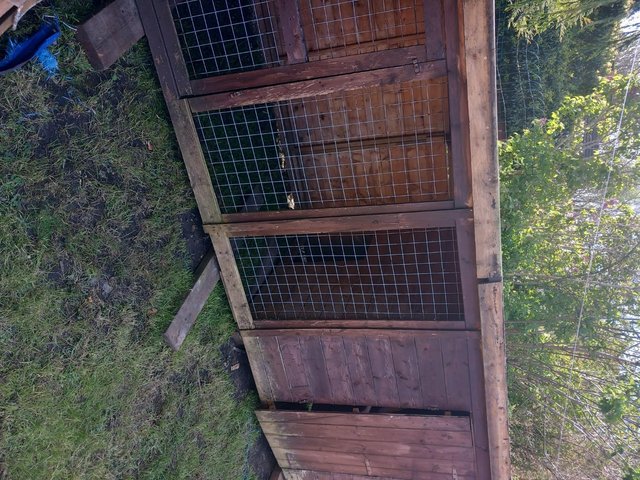 Preview of the first image of outside large dog kennel.