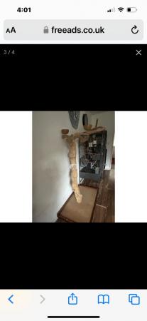 Image 1 of Xxl Java tree parrot perch and play stand