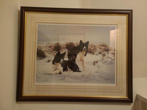 Image 2 of 11 Steven Townsend Limited Edition Prints - Border Collies
