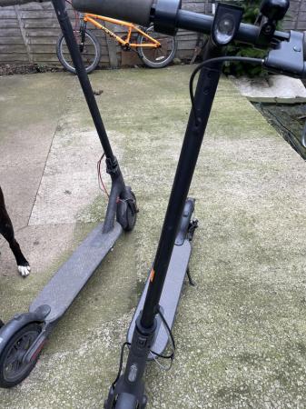 Image 2 of MI electric scooters for sale