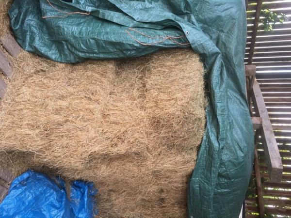 Image 2 of 30 bales last year's hay for sale £4.50 each