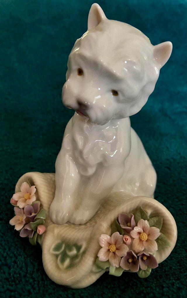 Preview of the first image of Lladro Figurine Playful Character White Westie Puppy Dog Scu.