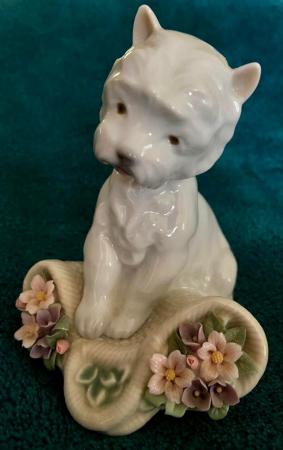 Image 1 of Lladro Figurine Playful Character White Westie Puppy Dog Scu
