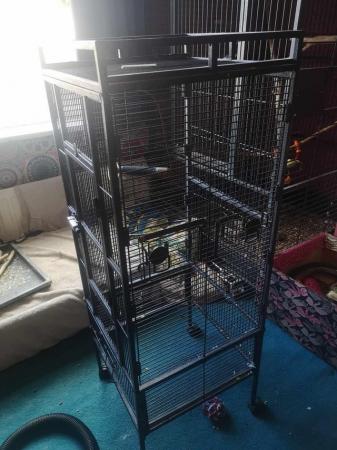 Image 5 of Parrot cage, info in description