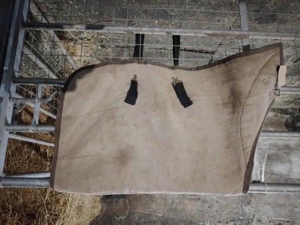 Image 2 of Pony rugs for sale - suitable for small ponies
