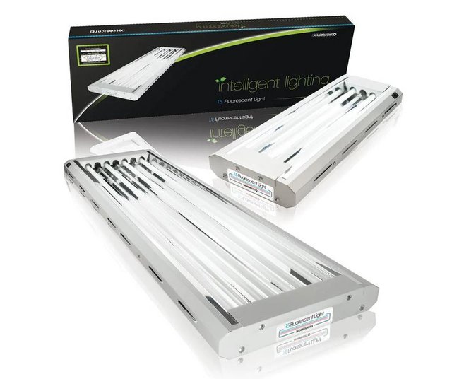 Preview of the first image of Maxibright T5 Lightwave Growlight.