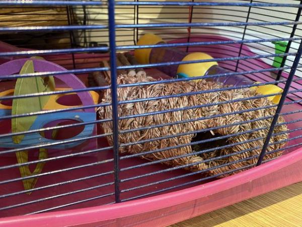 Image 6 of Deluxe three storey hamster cage