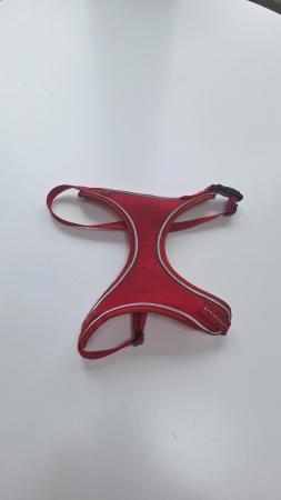 Image 4 of Puppy Collar, Harness, Coat, Bed with removable cushion