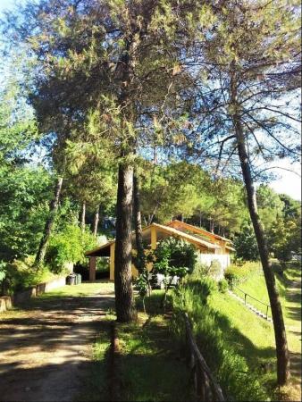 Image 15 of *LOW SITE FEES* PAYMENT PLAN* Atlas Tempo Italy, Tuscany