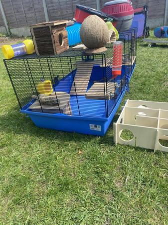 Image 2 of Hamster/gerbil cage and accessories