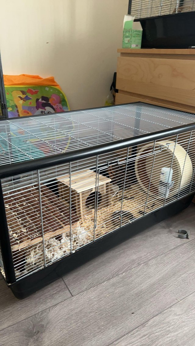 Preview of the first image of Hamster cage and more for sale.