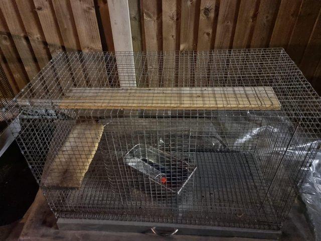 Preview of the first image of HUGE CHINCHILLA and DEGU CAGE.