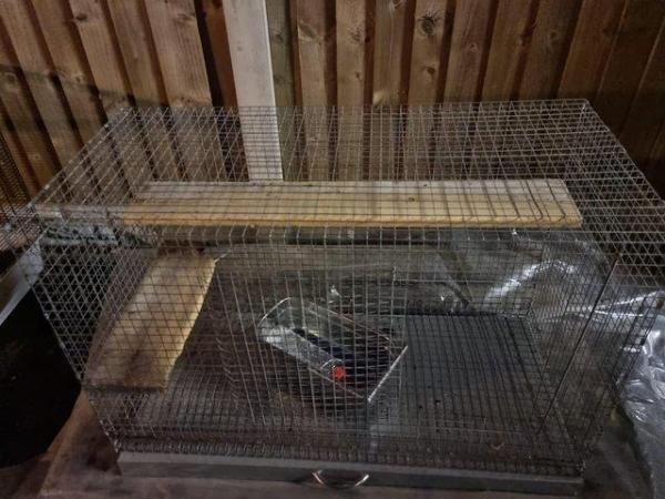 Image 1 of HUGE CHINCHILLA and DEGU CAGE
