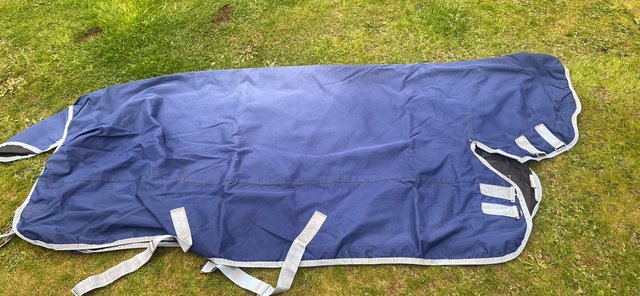 Preview of the first image of Blue Saxon Turnout rug with neck.