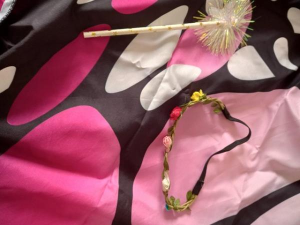 Image 1 of Butterfly cape, headband and wand