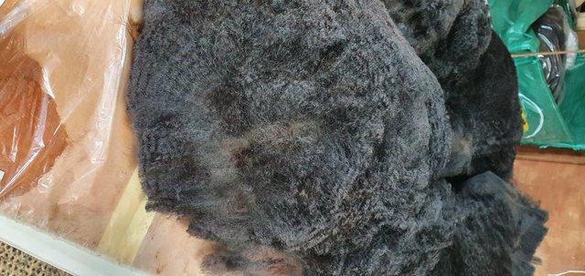Image 5 of Alpaca fleece, fibre, wool for sale Grade A - whole blanket