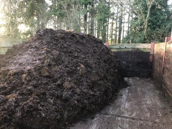 Image 1 of Well rotted horse muck, manure, West Somerset, Taunton area