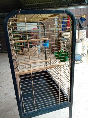 Image 4 of Parrot cage suitable for Amazon / African Grey or similar
