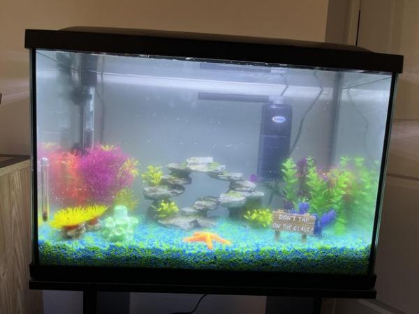 Image 3 of 60L fish tank for sale in bridlington