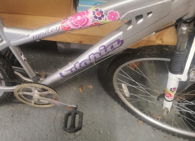 Preview of the first image of Utopia ladies bike, beautifully decorated.