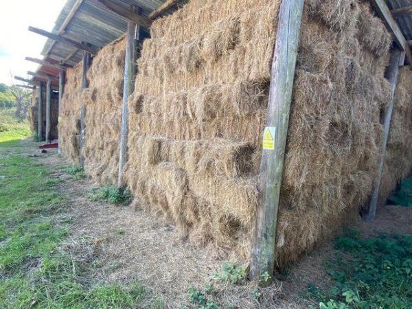 Image 3 of 2023 Barn stores Quality Meadow Hay