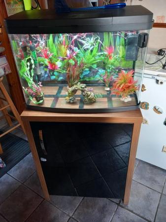 Image 3 of FISH TANK WITH CABINET AND EQUIPMENT