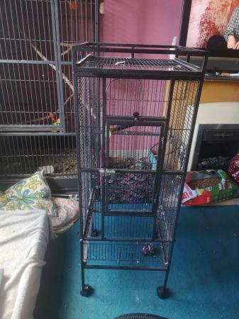 Image 1 of Parrot cage, info in description