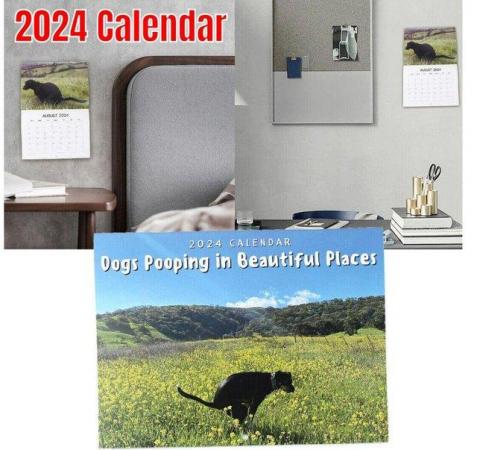 Image 3 of 2024 Calendar Funny Dogs Pooping in Beautiful Places