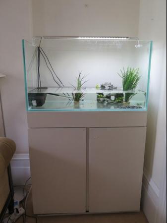 Image 3 of Aquarium 3ft with cabinet, sump and light for sale