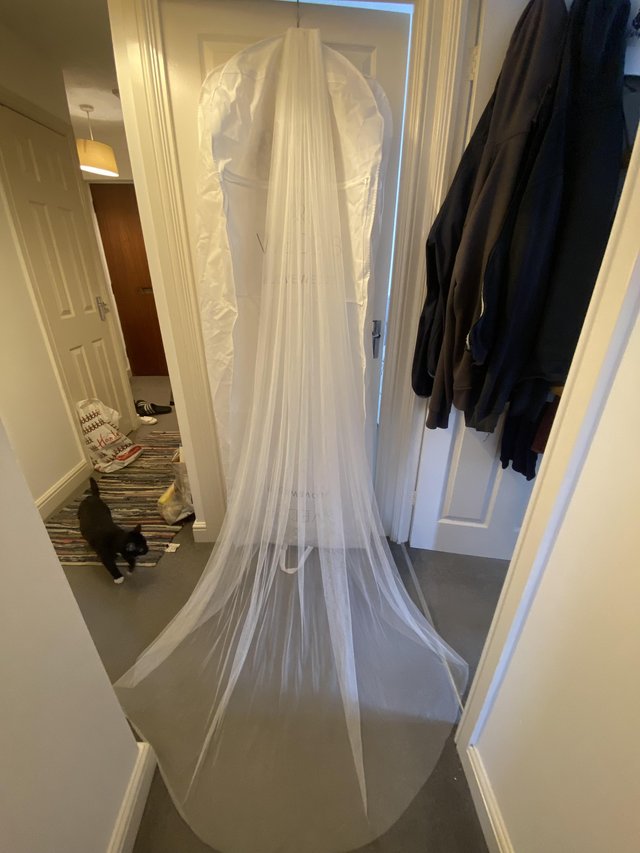 Preview of the first image of Wedding Dress, Fishtail, 2 months old.