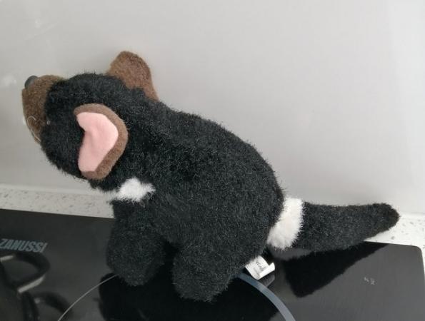 Image 17 of A Small "Tasmanian Devil" Soft Toy by Windmill Toys, Austral