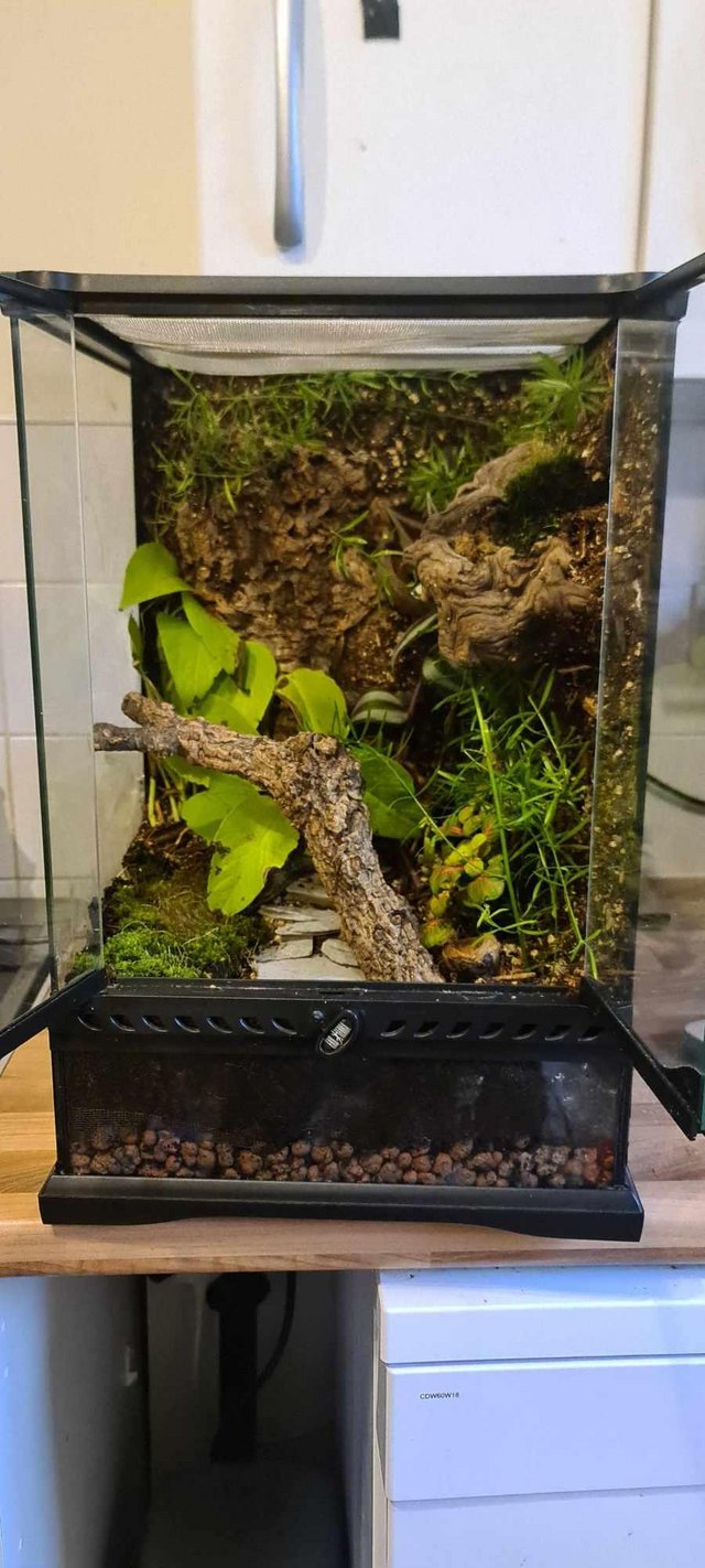 Preview of the first image of 30x30x45 exo terra glass bioactive vivarium.