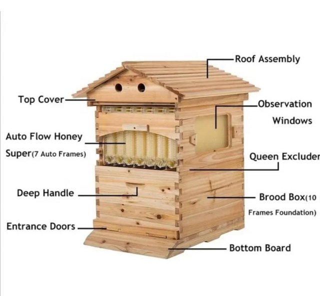 Preview of the first image of Auto flow bee hive (bees £200 extra).
