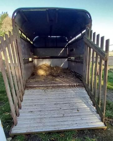 Image 2 of Ifor williams livestock trailer