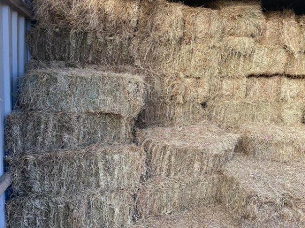 Image 1 of 2023 Barn stores Quality Meadow Hay