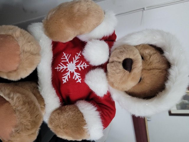 Preview of the first image of Teddy Bear&Winter Outfit.