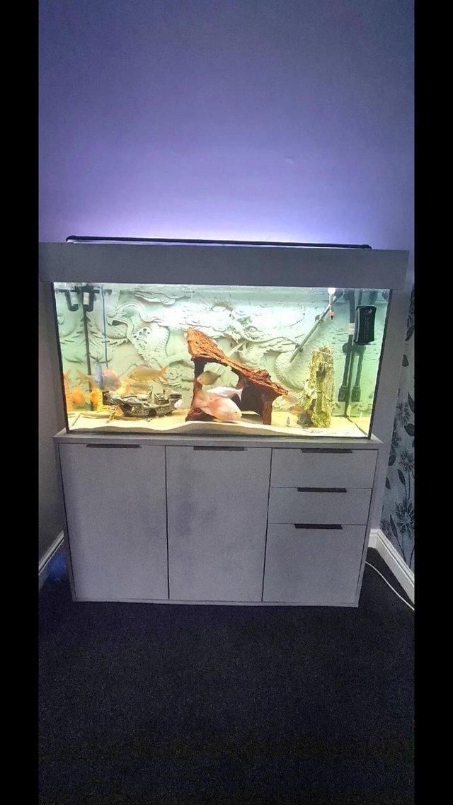 Preview of the first image of Fish + Aqua One 250L Tank With Cabinet + Fluval 407 Filter.