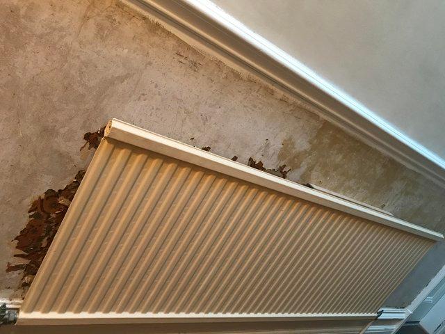 Preview of the first image of Radiator Single Panel Long Used.