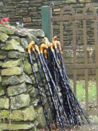 Image 1 of Irish Traditional Blackthorn Walking Stick
