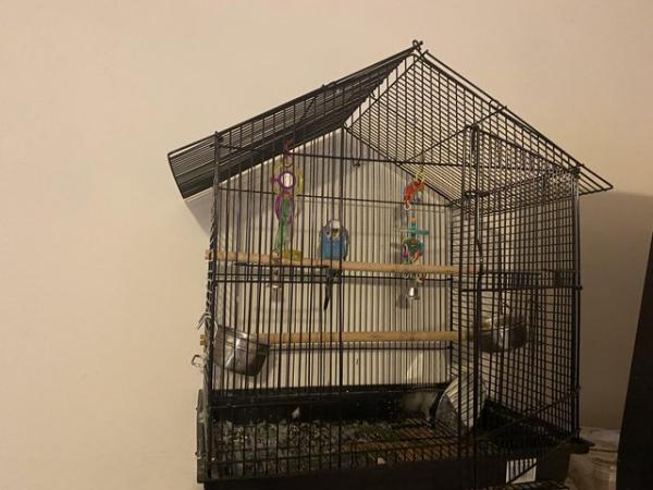 Image 5 of Budgie cage for sale No budgie