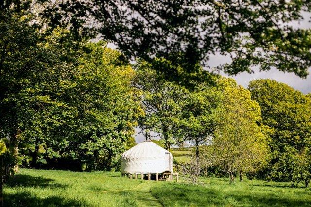 Image 2 of Yurt for sale with woodburner