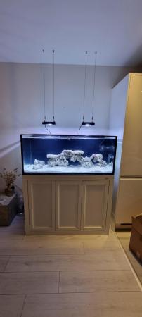 Image 3 of Marine fish tank for sale
