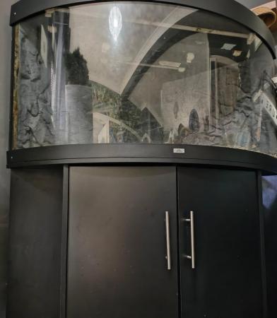 Image 3 of Large juwel corner fish tank with stand