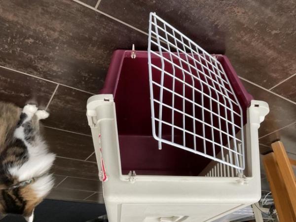Image 4 of Cat/ small dog travel basket