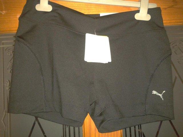 Preview of the first image of New Ladies Puma Tight fit Bio-Dry sports gym shorts size 14.