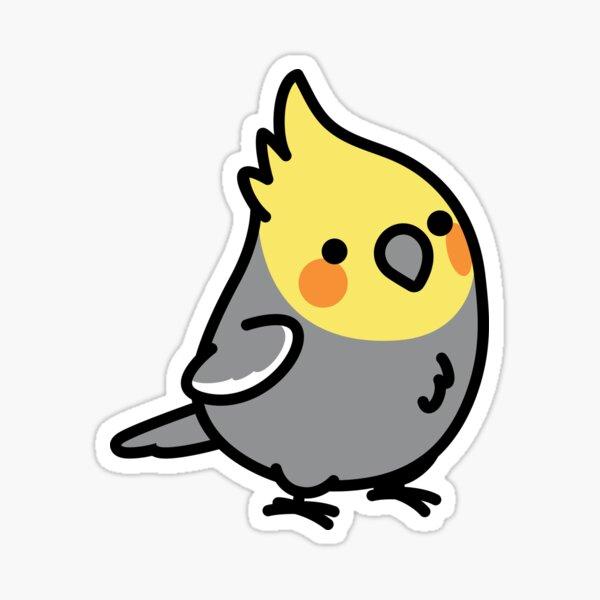 Preview of the first image of WANTED: Young Cockatiel (preferably male/cock).
