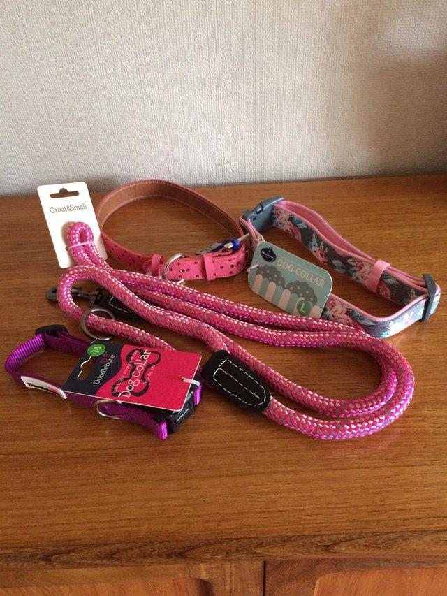 Preview of the first image of HARNESS LEAD & 3 DOG COLLARS PINK / PURPLE-NEW.